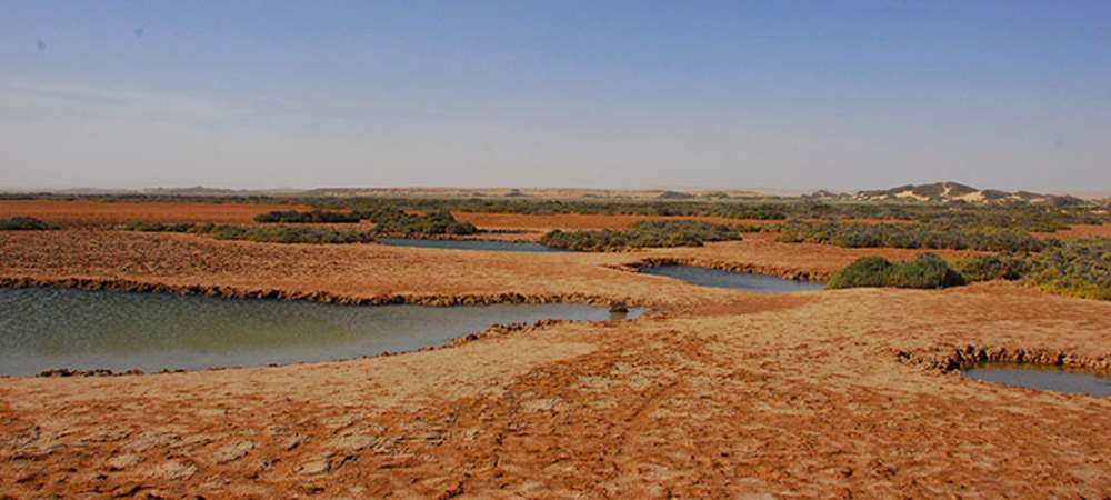Désert imlili dakhla